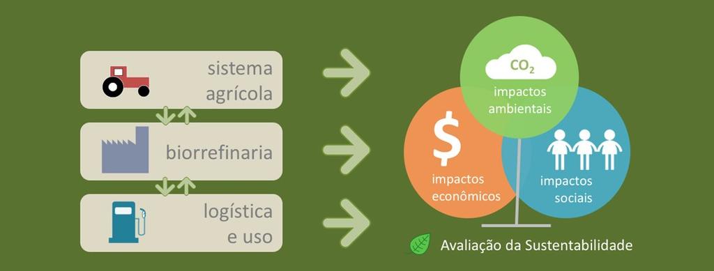 Instituto de Pesquisas Tecnológicas do Estado de São Paulo (IPT), que identificou a necessidade de avaliar a performance de diferentes tipos de tecnologi- as para produção de bioprodutos.