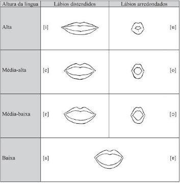 Figura 3: Classificação das vogais pela altura da língua Fonte: SEARA; NUNES; LAZZAROTTO-VOLCÃO, 2015, p. 50.