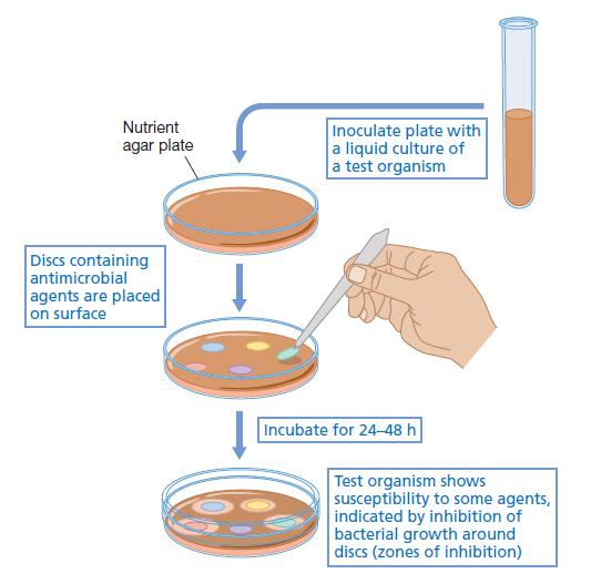Testes Clínicos de Cepas Bacterianas isoladas a partir de