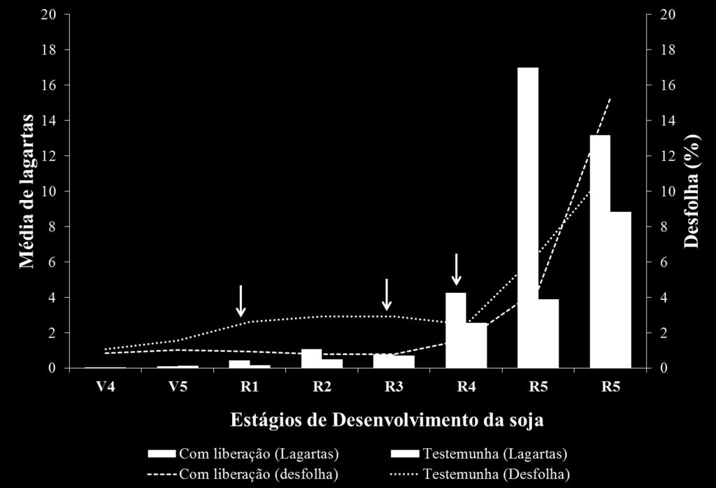 No estado do Paraná, safra 2013/2014, em áreas de cultivo de soja com o uso do manejo integrado, a ocorrência de A. gemmatalis (pico populacional) foi no começo do estágio vegetativo, sendo que, C.