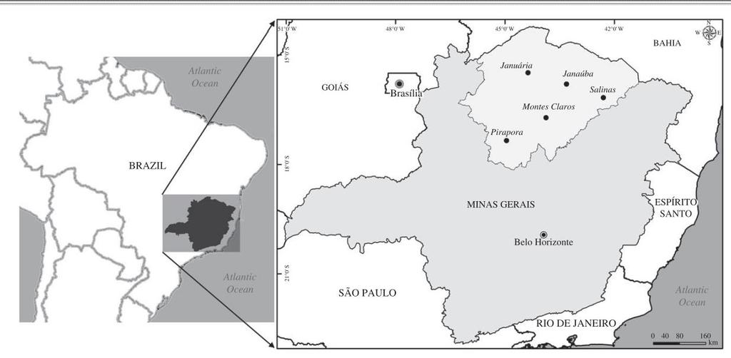 Área de Estudo Norte de Minas Gerais. Semiárido.