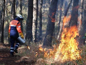 DECIF Conceito Reforço rápido e especializado Grupos de combate de âmbito distrital 18 (para reforço imediato em cada distrito) 3 1 Companhias reforço (uma por agrupamento de forças AGRUF) Companhia