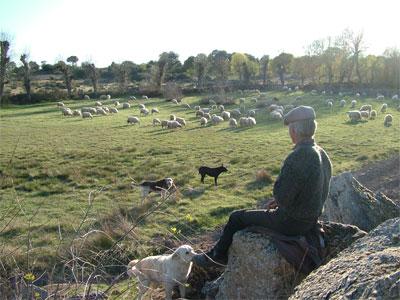 Estamos perante a Iminência de Danos ecológicos e económicos importantes