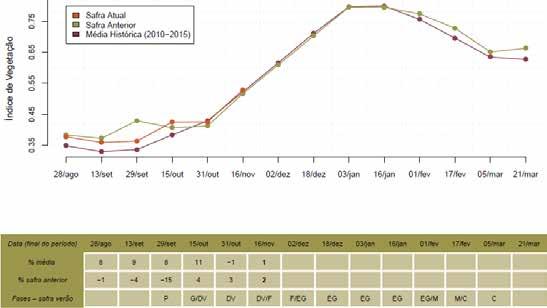 A tabela do gráfico de quantificação de áreas mostra que a atual safra tem em torno de 21% de suas áreas já com boa cobertura foliar (altas respostas de IV), contra 19% do ano passado, nesta mesma