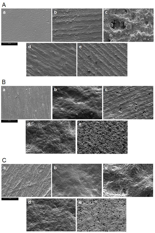 Figura 8 Micrografias das diferentes formulações. A) Secas B) Após imersão em FSG e C) Após imersão em FSI.