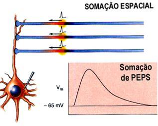 integração) dos