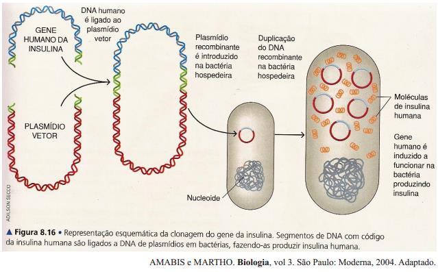 TECNOLOGIA DO DNA
