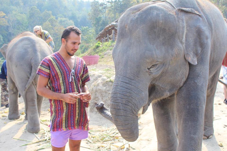 Passeio Incluído Santuário dos elefantes Um passeio incrível onde você tem