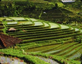 Os seres humanos modificam as paisagens naturais ao longo de sua existência.