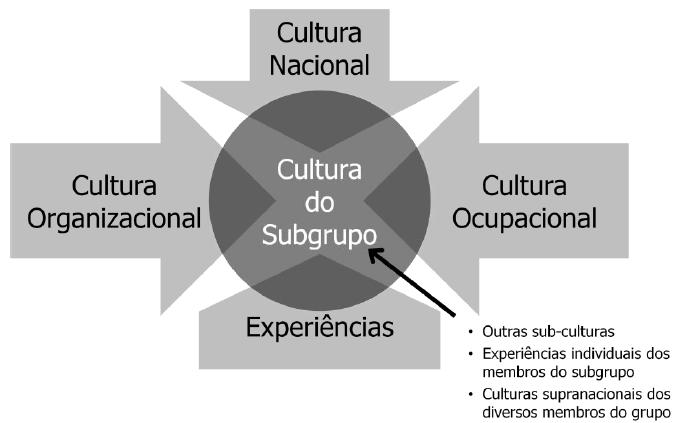 Cultura Dominante, Subculturas e Contracultura *Níveis - Hofstede Culturas Nacionais se diferenciam mais no
