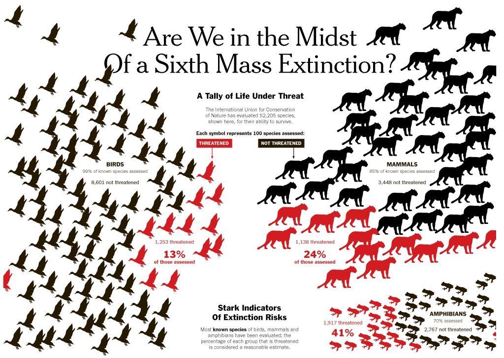 6ª Extinção em Massa