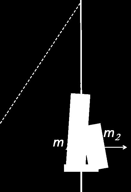 Consdere como aproxmação que os trapezstas podem ser consderados como corpos pontuas localzados no respectvo centro de massa (ver fgura).