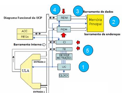 REGISTRADOR DE INSTRUÇÃO (RI) Armazena a instrução a ser executada pela UCP Ao se iniciar um ciclo de instrução, a (1) Unidade de Controle(UC) emite o sinal de controle