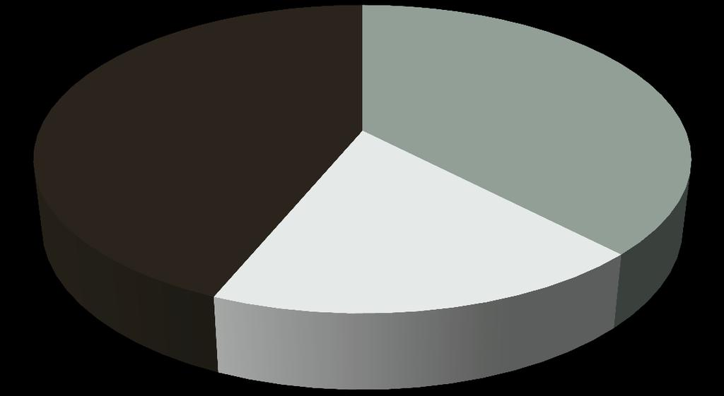 37,8% Megatrends 14% do total 19,1%