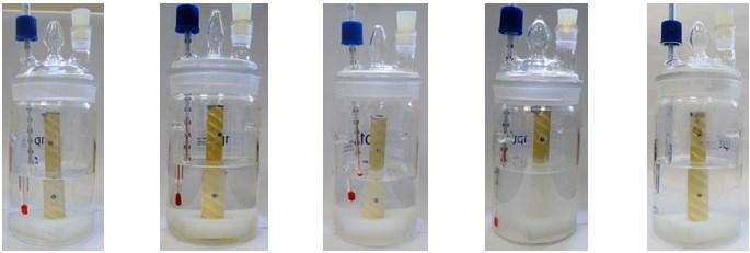 Resistência química 15 corpos de prova com as seguintes características: 100 mm de comprimento 2 defeitos equidistantes de 3