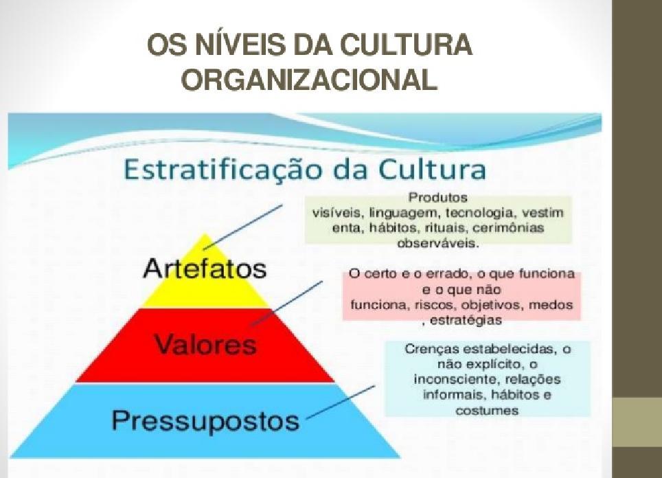 Componentes da cultura organizacional Toda cultura se apresenta em três diferentes níveis: artefatos, valores compartilhados e pressuposições básicas.