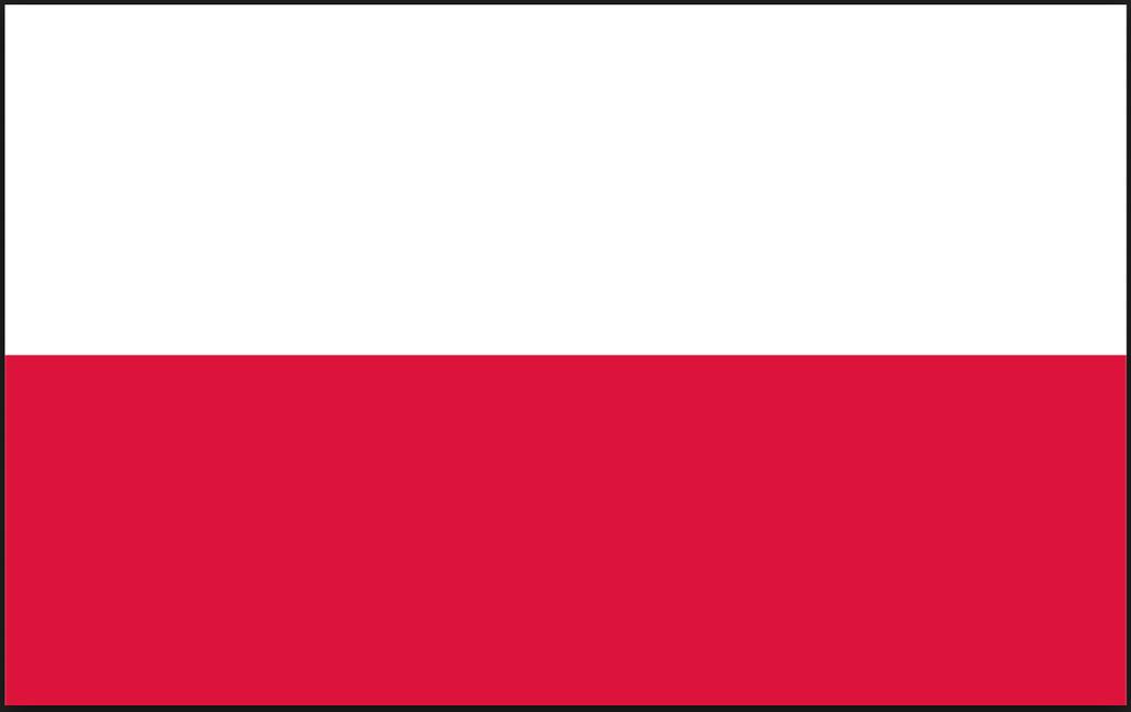 Benchmark internacional Caso de estudo 4 Polónia Incen.vos financeiros e fiscais ao inves.mento À semelhança de Portugal e Espanha, a Polónia apresenta, genericamente, um conjunto de incen.