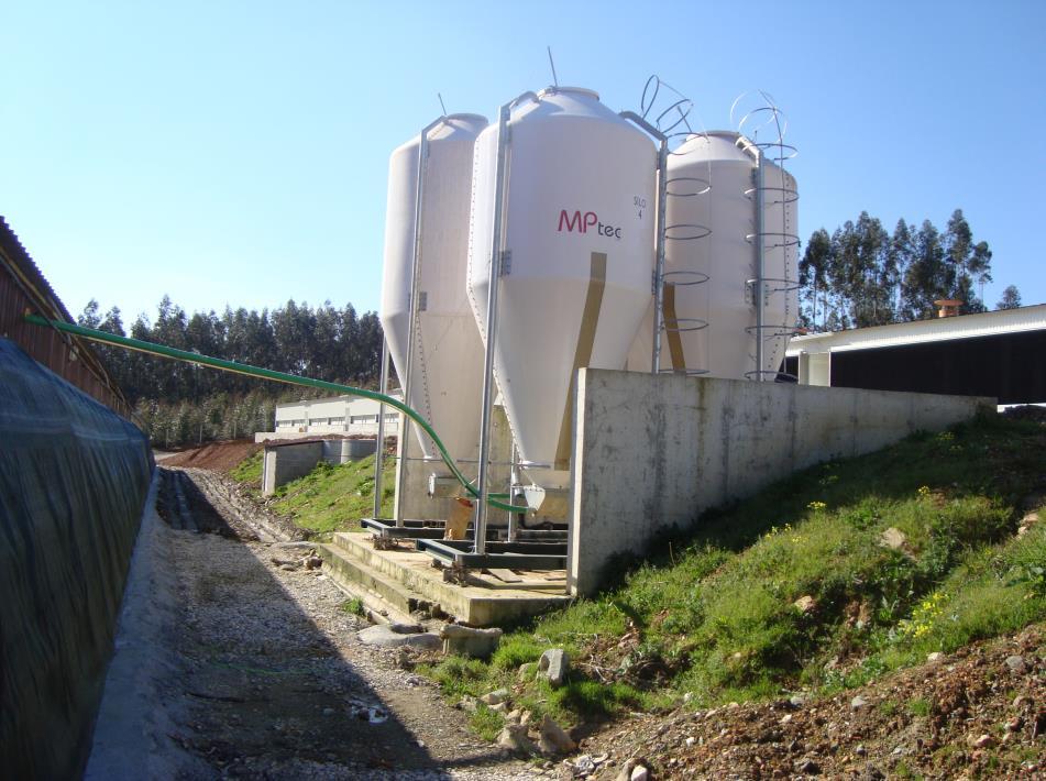 Figura 7- Silos de ração O ciclo de produção das aves completa-se com um vazio sanitário de cerca de 14 dias o que permite à exploração fazer seis bandos por cada ano.