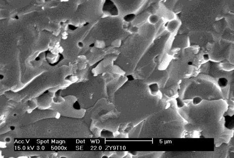 06 Micrografias MEV de superfície de fratura