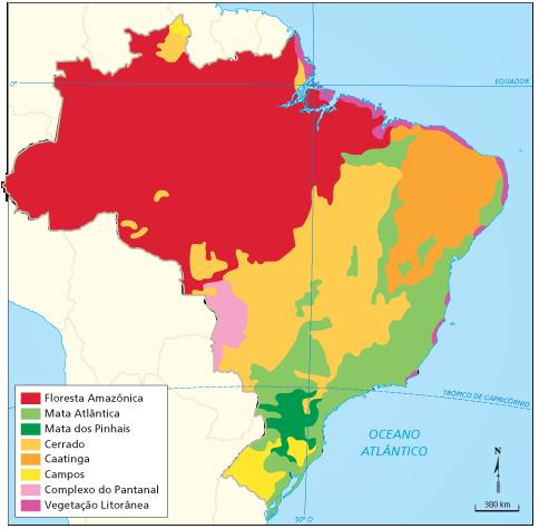 As Formações Vegetais do Brasil O Brasil apresentava, originalmente, extensas formações vegetais com