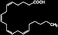 importantes são: ácido oléico com 18 carbonos