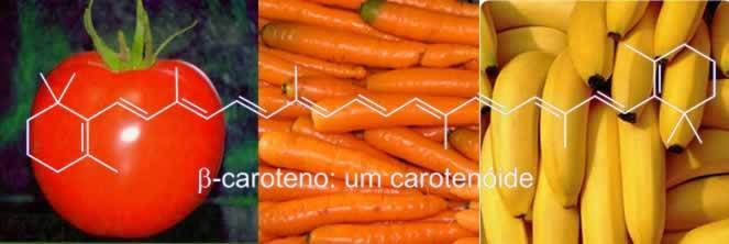 Classificação dos lipídios Carotenoides: são lipídeos que apresentam pigmentação vermelha, amarela ou laranja, são encontrados em