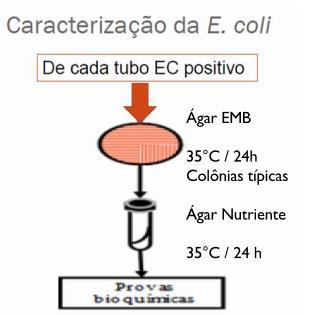 Técnica