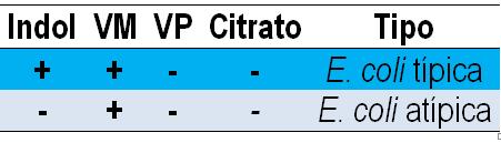 Resultado das provas