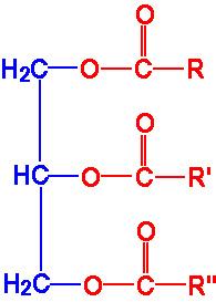 TAG Ácido graxo monoinsaturado (oléico) + H 2 O TAGs complexos: R = R' R'' R R' = R'' R R' R'' Ex: R= R' ác.palmítico e R'' = ác.