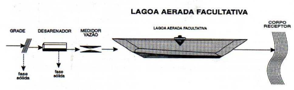 A DBO é em torno de 50% estabilizada na lagoa anaeróbia (mais profunda e com menor volume), enquanto a DBO remanescente é removida na lagoa facultativa.