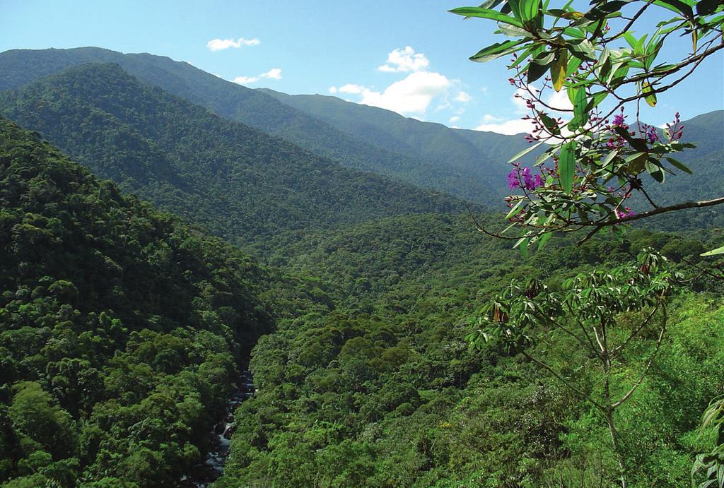 Parque Nacional do Itatiaia A unidade fica localizada na Serra da Mantiqueira, se estendendo por Minas Gerais, São Paulo e Rio de Janeiro.