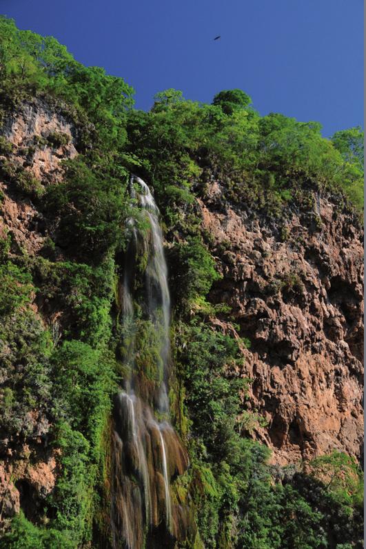 Parque Nacional da Serra da Bodoquena Parque Nacional do Caparaó Localizado na divisa de Minas Gerais e Espírito Santo, o Parque possui portaria nos dois estados, sendo o município de Dores do Rio