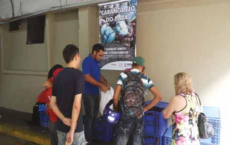 caranguejeiros nesses conselhos pode fortalecer ainda mais a organização social da base comunitária. Comercialização do caranguejo-uçá em evento da Sedap no Pará.