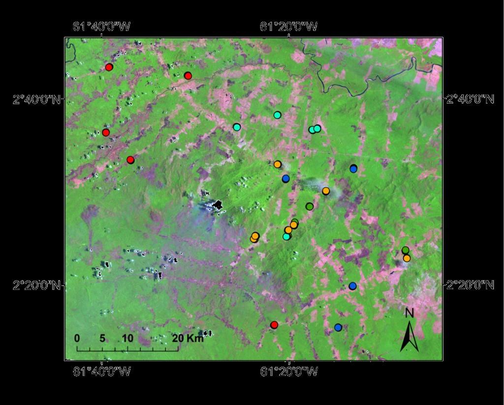 Base de dados Inventário florestal em povoamento atingido por fogo Mucajai, Roraima (2010) Amazônia 50 parcelas distribuídas em 5 estratos Indivíduos com DAP > 10 cm