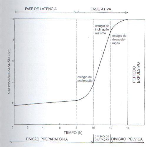 23 acontece quando o colo apromixa-se da dilatação total.