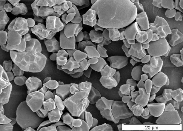 CERMAV, Grenoble Microscopia