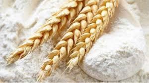 Farinha de Trigo Farinha de trigo (FT) é o produto elaborado com grãos de trigo (Triticum aestivum L.