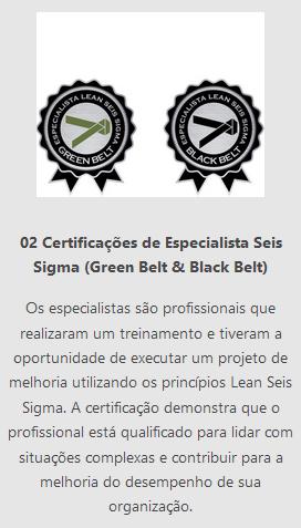 Black Belt em Lean Seis Sigma [Green