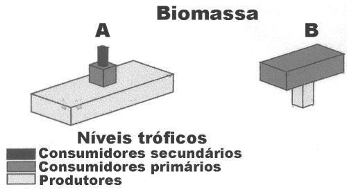3. A pirâmide de biomassa é uma representação gráfica da quantidade de matéria orgânica acumulada nos diferentes níveis tróficos. Na figura abaixo, podemos observar duas dessas pirâmides.