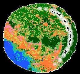 ) População urbana / rural Pesquisas locais Projecções de consumo 4.