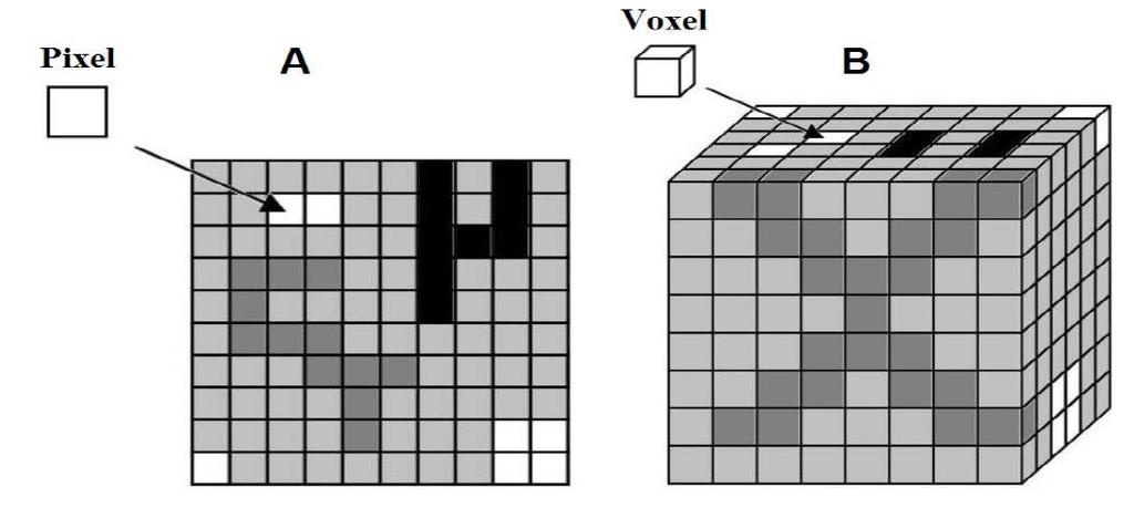 volume e pixel). Figura 2.11 Pixel e Voxel.