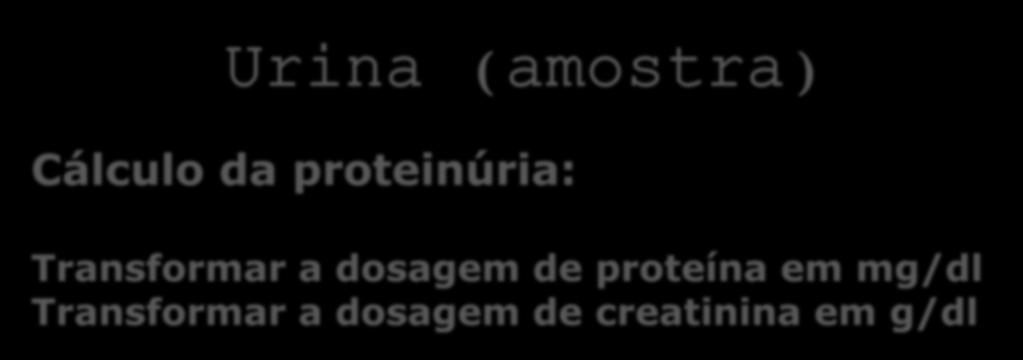 Urina (amostra) Cálculo da proteinúria: Transformar a dosagem de proteína em mg/dl Transformar a