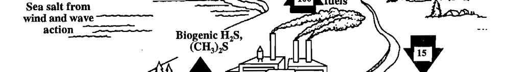 métricas/ano H 2 S (CH