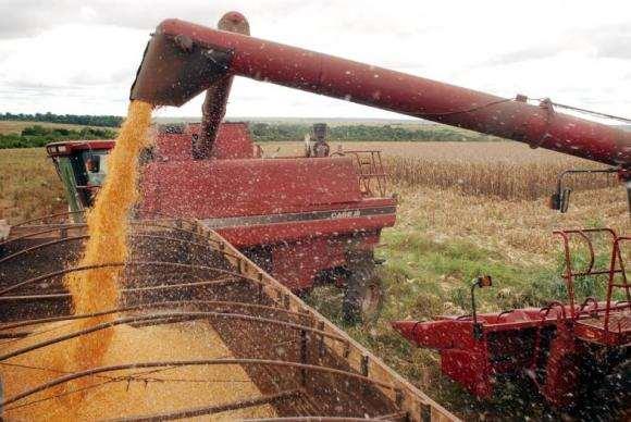 PRODUÇÃO ALIMENTOS NO BRASIL Recorde de produção para a safra de grãos de 2017 em torno de 240 milhões de ton em relação à safra anterior.