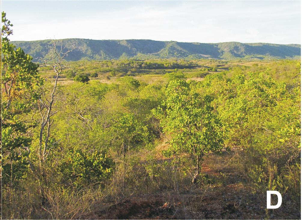 the Cerrado located in