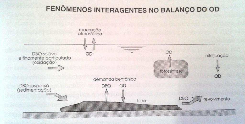 Balanço do Oxigênio