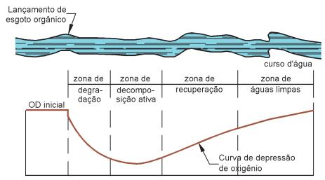 Curva OD x