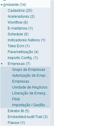 Parametrizações no RM e o TAF Acesse o Configurador do TAF (SIGACFG) no menu Empresas e inclua a os Grupos de Empresa, Empresas, Unidades de Negócio e Filiais de acordo com