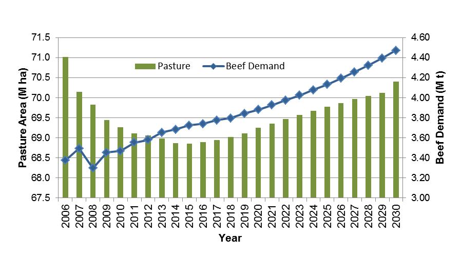 Construção do cenário de referência Premissas: 1 - Produtividade constante (~10t MS/ha/ano); 2 90% dos animais são terminados a pasto, e 10% sob confinamento (ANUALPEC, 2010); 1 - Produtividade