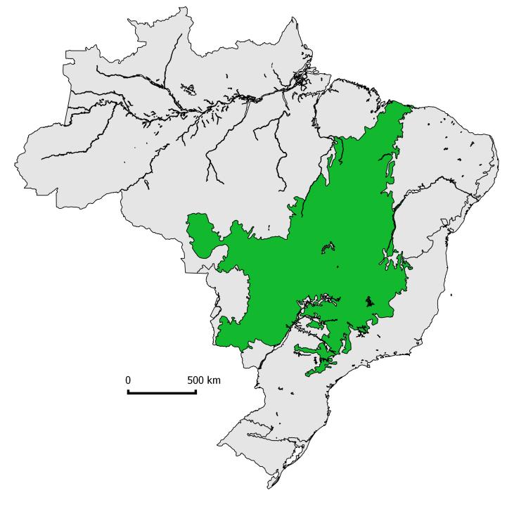 2. Cenário O Cerrado brasileiro.